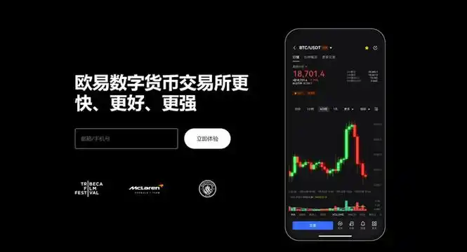 下载OKX官方网站平台展示图
